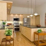 Kitchens With Natural Maple Cabinets
